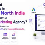 Digital Marketing Agency in Delhi & North India
